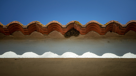 Wasp nest under the tiles of a house. A group of paper wasps building a nest under a Spanish roof tile.