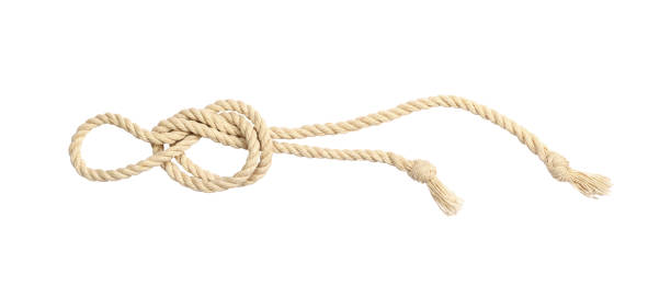 istock Beige cotton rope with knot isolated 1356331536