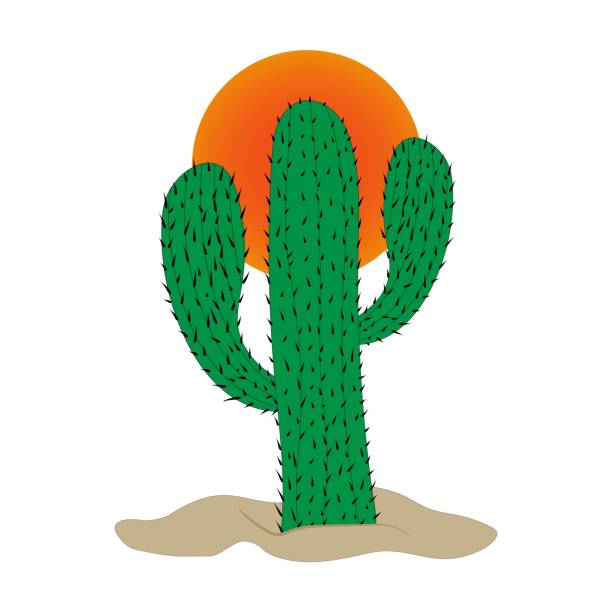 ilustraciones, imágenes clip art, dibujos animados e iconos de stock de concepto de desierto - abstract backgrounds botany cactus