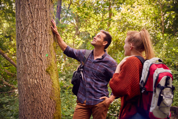 istock Couple In Countryside Hiking Along Path Through Forest Together 1356333997