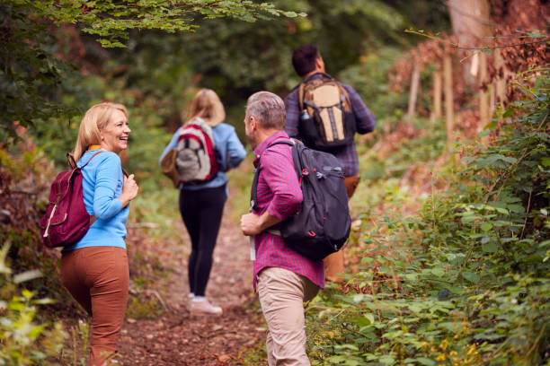 vista posteriore di coppie mature e medie adulte in campagna che camminano insieme lungo il sentiero attraverso la foresta - hiking mature adult women senior adult foto e immagini stock