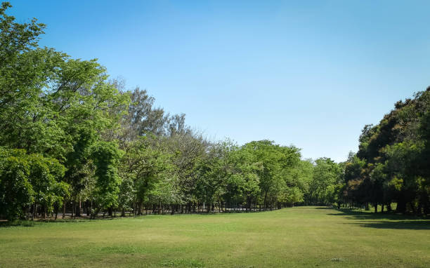 istock Public garden landscape in Thailand. 1356334180
