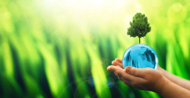 istock Hands holding crystal clean earth globe and growing tree. Environment, save clean planet, ecology concept. Earth Day,Environment Day  and Care Environment 1356334183