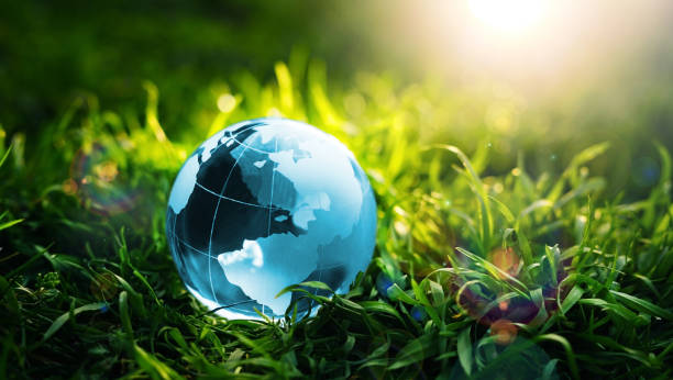 istock Environment, save clean planet, ecology concept. Earth Day,Environment Day  and Care Environment. 1356334187
