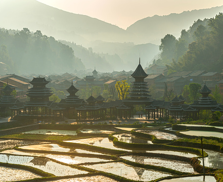 Sunrise, Rice paddy in the front, village and mountains in the back.