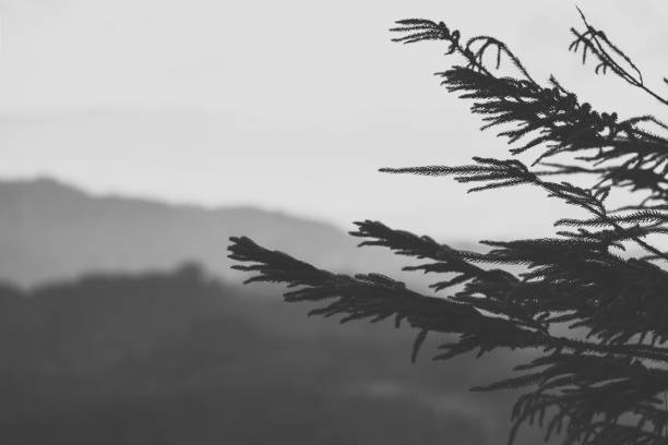 Nature landscape Parks/Outdoor