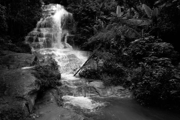 caída de agua en blanco y negro en tailandia. (monthathan falls, chaingmai) - stream forest river waterfall fotografías e imágenes de stock