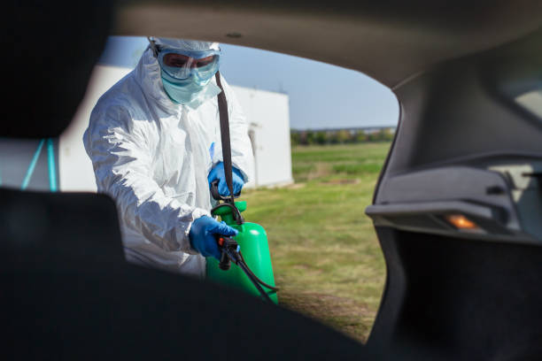 istock Protective suit spraying surfaces during coronavirus COVID-19 pandemic 1356339046