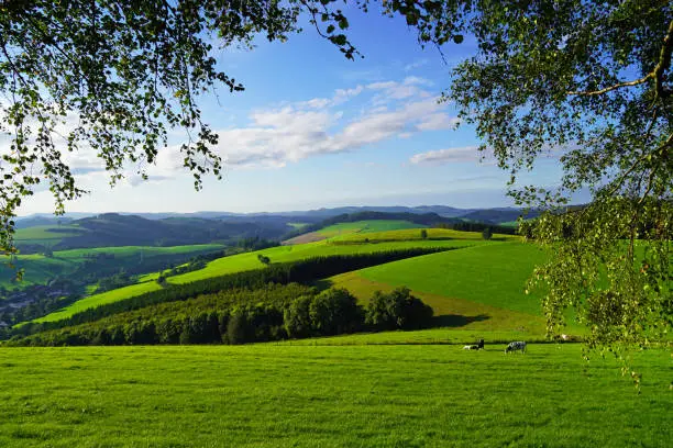 Landscape in the Sauerland near Oberhenneborn. Panoramic view of the green nature with hills and forests.