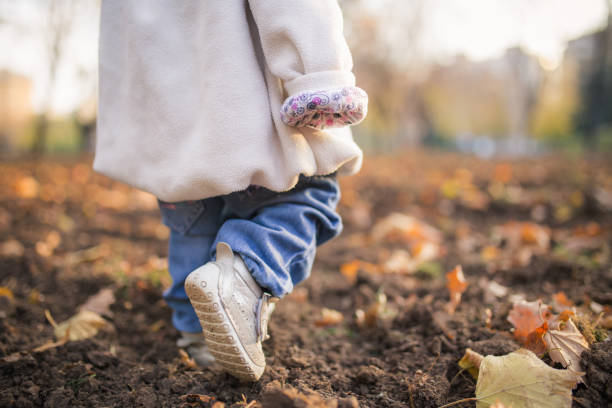 Joyous 2 year old girl running excitedly around a park collecting conkers in the late Autumn sunshine in the Cotswolds