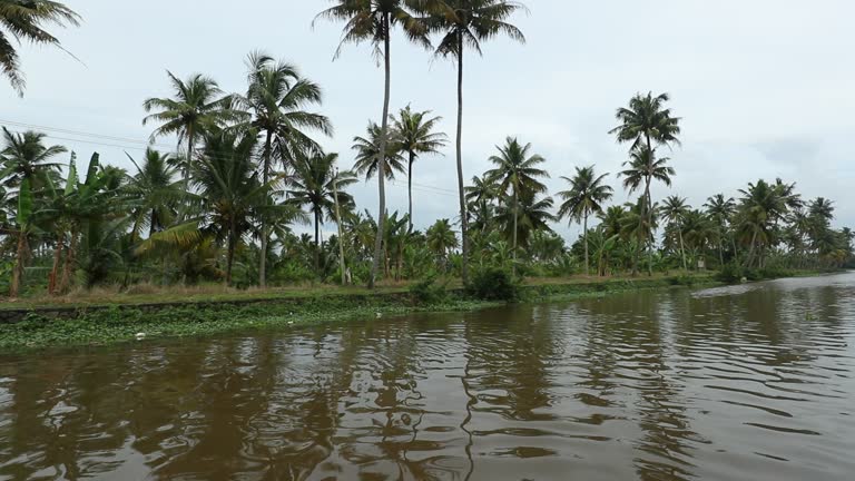 Canals and sightseeing in the backwaters of Kumarakom