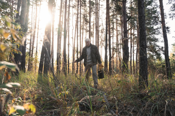 istock Senior man standing in autumn forest and enjoying 1356343442