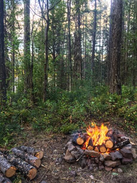 feu dans les bois - flathead national forest photos et images de collection