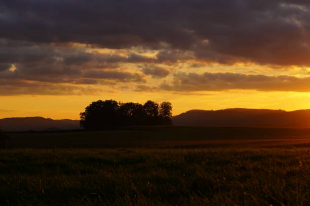 istock Sunset in the Sauerland. Landscape with setting sun in the evening. 1356345216