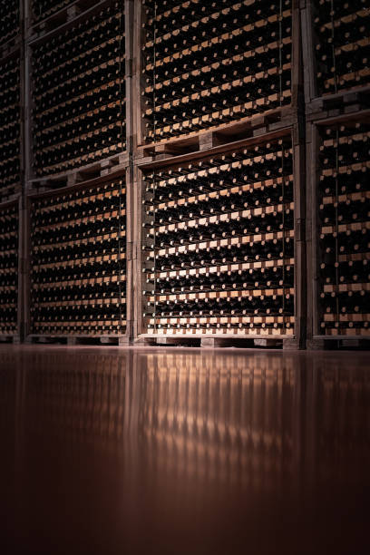 almacenar las botellas en la bodega de la fábrica de vinos - vertical wine bottle variation rack fotografías e imágenes de stock