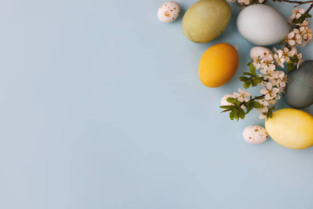istock Happy Easter! Stylish easter eggs and cherry blossoms flat lay on blue background. Modern colorful natural dyed eggs, candy and white flowers border layout. Greeting card, space or text 1356347193