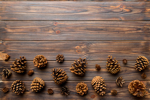 Christmas pine cones on colored paper border composition. Christmas, New Year, winter concept. Flat lay, top view, copy space.