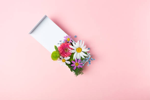 стильная композиция из свежих цветов в белой подарочной коробке на розовом фоне - rose mothers day flower pink стоковые фото и изображения