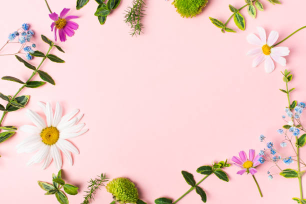 istock Fresh herbs, flowers and notebook for making herbarium or handemade decoration 1356351012