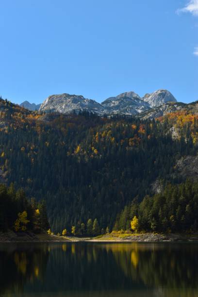 istock Beautiful lake in the mountains. 1356352283