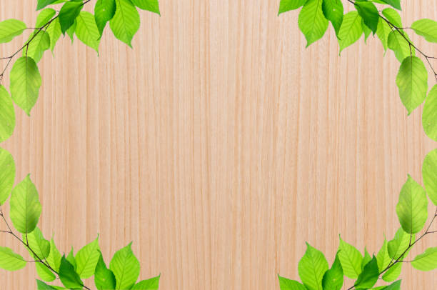 istock Background material with wooden boards and leaves. 1356354207