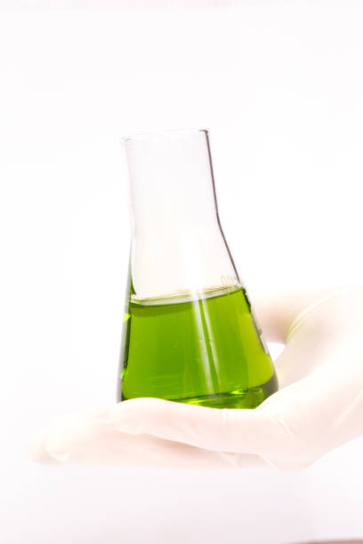istock Flask for chemical experiments with green liquid in hand 1356355177