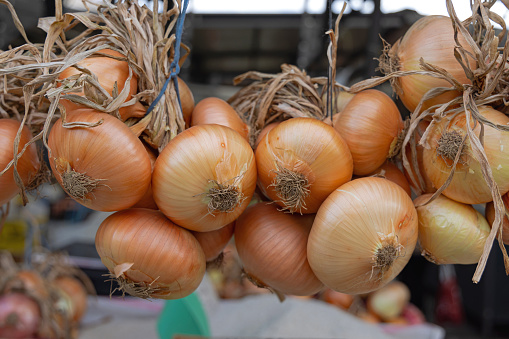 Hanging Organic Yellow Onions at Farmers Market