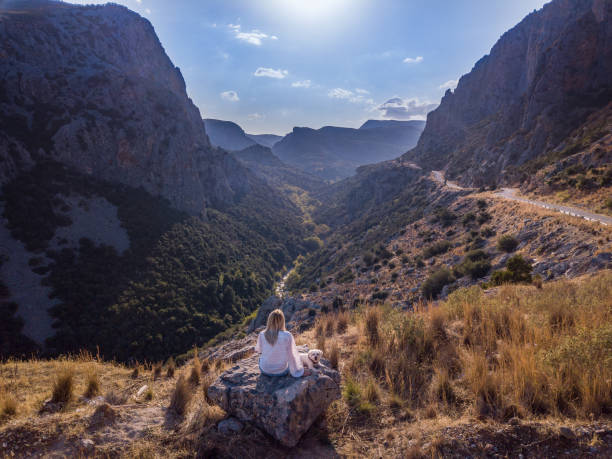 Gazing at the canyon