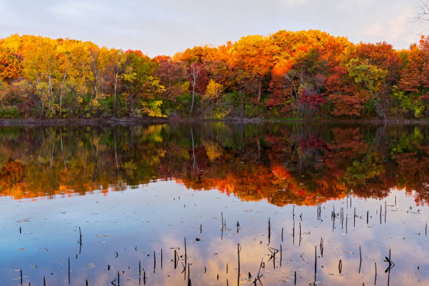 istock marthaler park autumn and pond reflections 1356361338