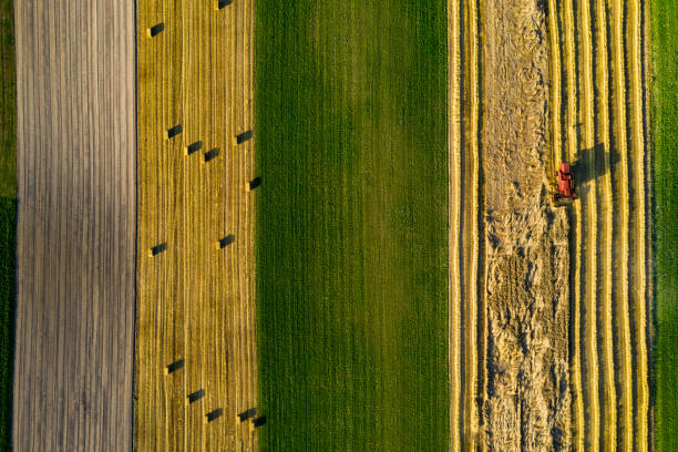 Top view agricultural work