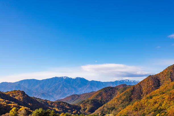 Beautiful mountains and autumnal trees