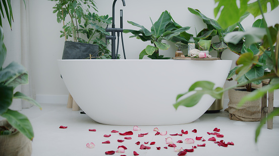 Bathtub surrouded by tropical plants. Home SPA with rose petals