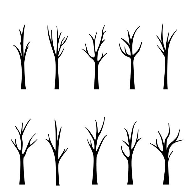 ilustraciones, imágenes clip art, dibujos animados e iconos de stock de silueta de árbol muerto desnudo sin hojas aterradoras - tree bare tree silhouette oak