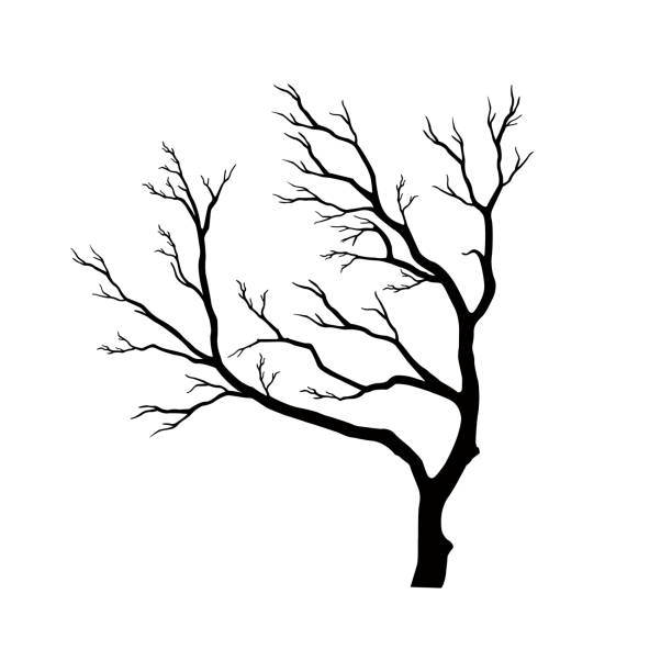 ilustrações de stock, clip art, desenhos animados e ícones de bare tree silhouette without barren leaves dead - abstract autumn bare tree empty
