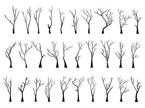 Old bare dead tree silhouette set without scary leaves. Hand drawn. Isolated on white background. vector illustration