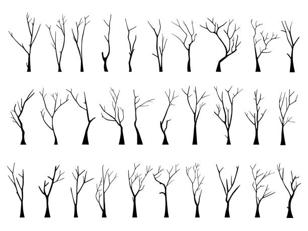 Old bare dead tree silhouette set without scary leaves Old bare dead tree silhouette set without scary leaves. Hand drawn. Isolated on white background. vector illustration bare tree stock illustrations