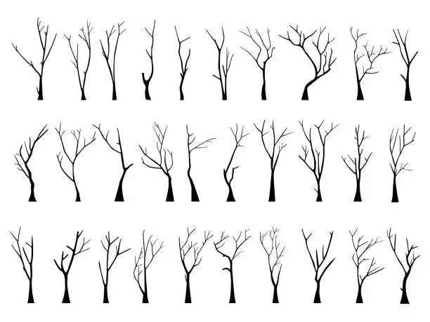 Vector illustration of Old bare dead tree silhouette set without scary leaves