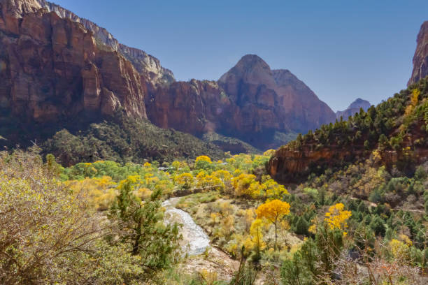 istock Autumn in Zion National Park 1356367032