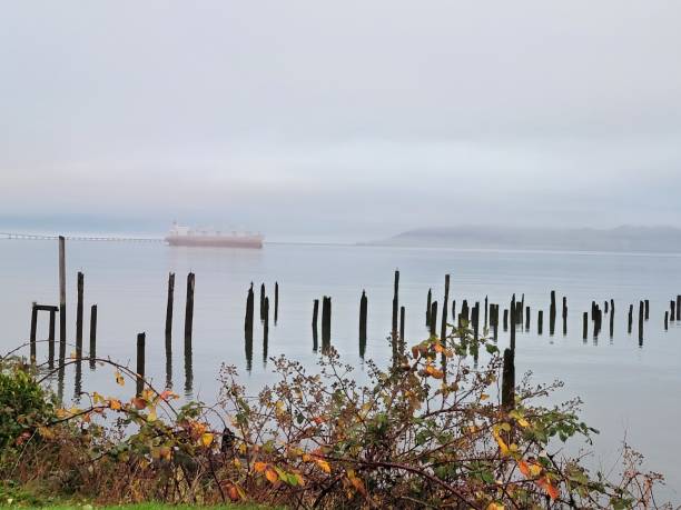 istock Cargo Ships on A Fog Filled Columbia 1356368573