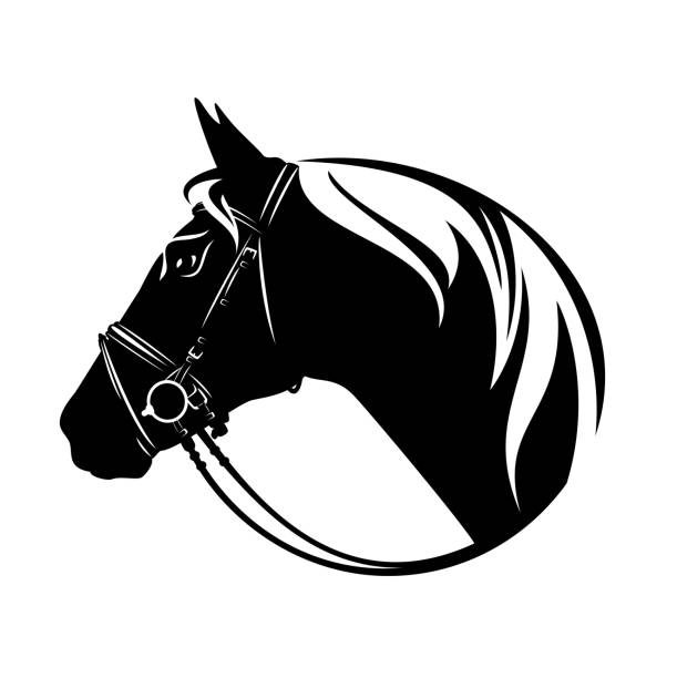 bridled horse side view head black and white vector silhouette outline bridled horse profile head black and white vector outline portrait - equestrian sport emblem design pony stock illustrations