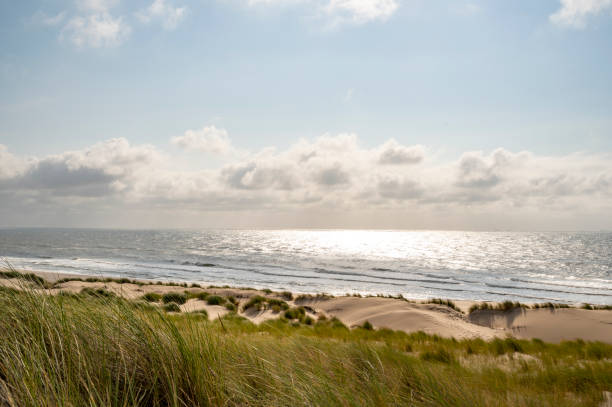 istock Summer in the dunes with clouds drifting over the sea 1356369071