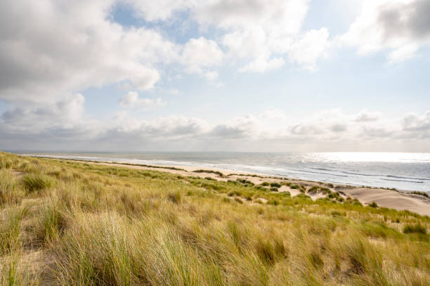 istock Summer in the dunes with clouds drifting over the sea 1356369135