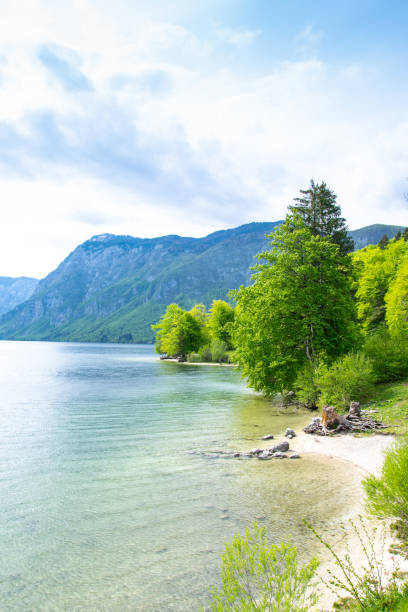 sommer in slowenien. blick auf die berge und den bohinjer see. triglav nationalpark, julische alpen, slowenien. - julian alps mountain lake reflection stock-fotos und bilder