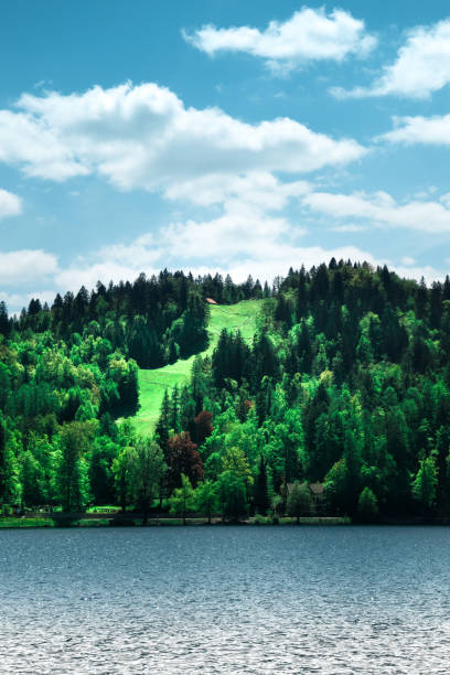 lato w słowenii. widok na góry i jezioro bohinj. triglavski park narodowy, alpy julijskie, słowenia. - julian alps lake bohinj lake bohinj zdjęcia i obrazy z banku zdjęć