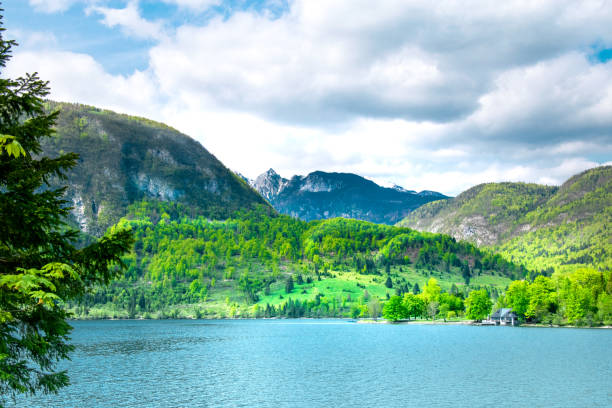 lato w słowenii. widok na góry i jezioro bohinj. triglavski park narodowy, alpy julijskie, słowenia. - julian alps lake bohinj lake bohinj zdjęcia i obrazy z banku zdjęć