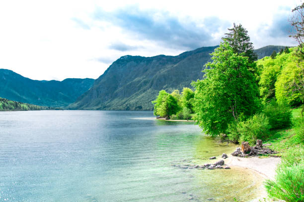 sommer in slowenien. blick auf die berge und den bohinjer see. triglav nationalpark, julische alpen, slowenien. - julian alps mountain lake reflection stock-fotos und bilder