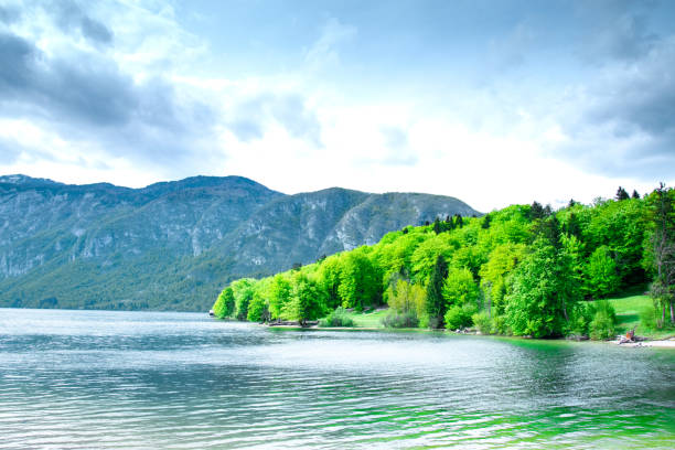 summer in slovenia. view of the mountains and bohinj lake. triglav national park, julian alps, slovenia. - julian alps mountain lake reflection imagens e fotografias de stock