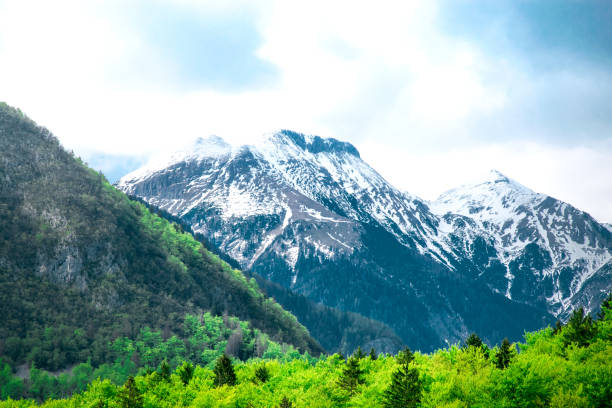 summer in slovenia. mountain path. green hills and cloudy skies. triglav national park, julian alps, slovenia. - julian alps mountain lake reflection imagens e fotografias de stock