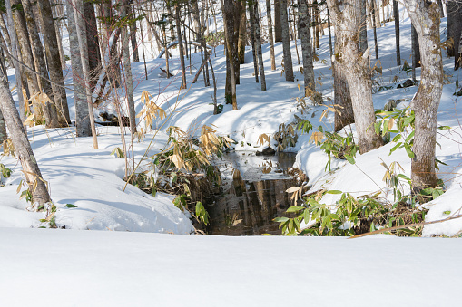 Stream with snow beginning to melt