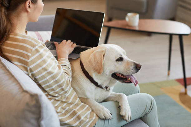 istock Young Woman Working from Home with Dog 1356372064